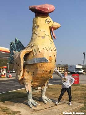 đá gà cưa sắt 2017 đá gà cưa sắt 2017