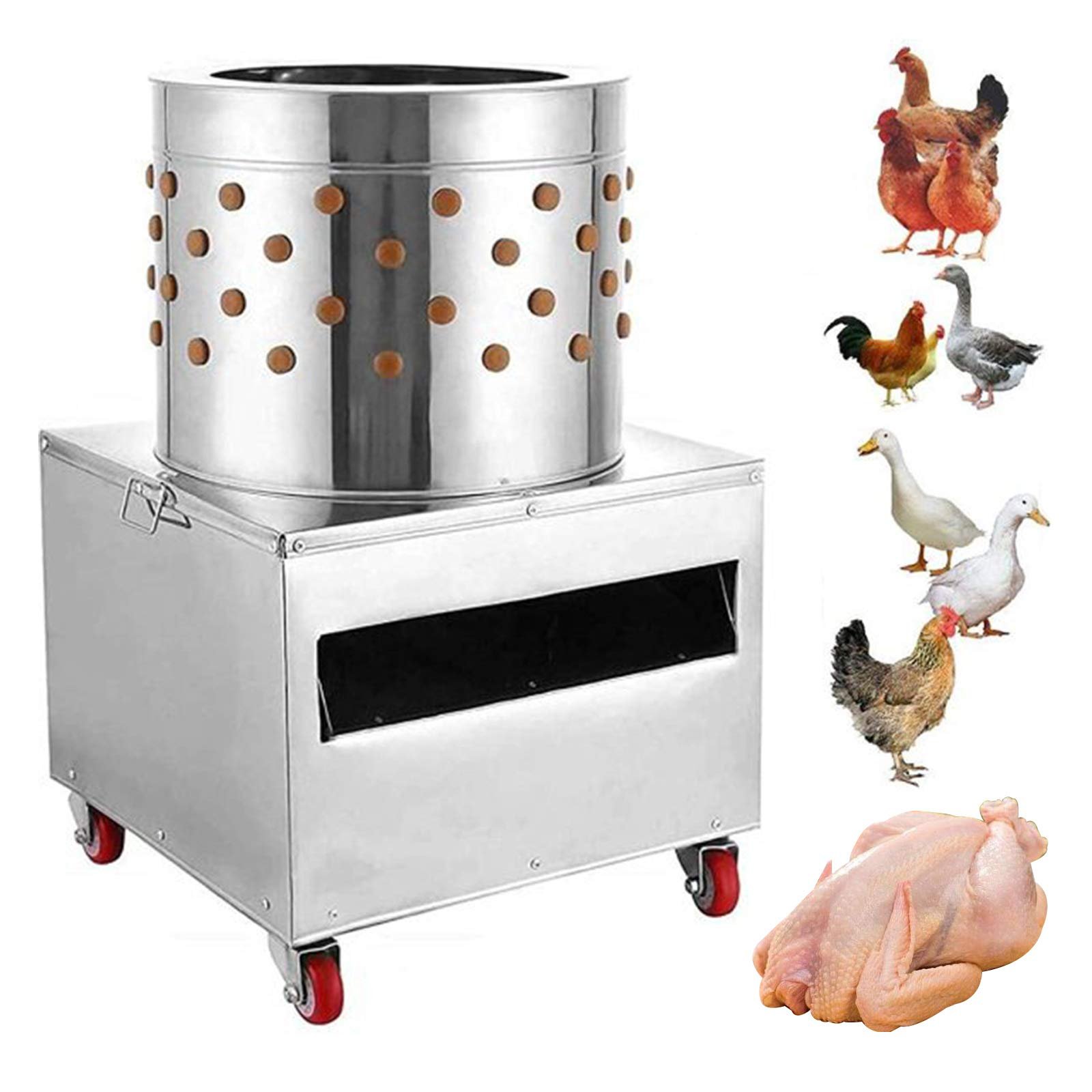 video bắt đá gà ở huyện long điền tỉnh brvt video bắt đá gà ở huyện long điền tỉnh brvt