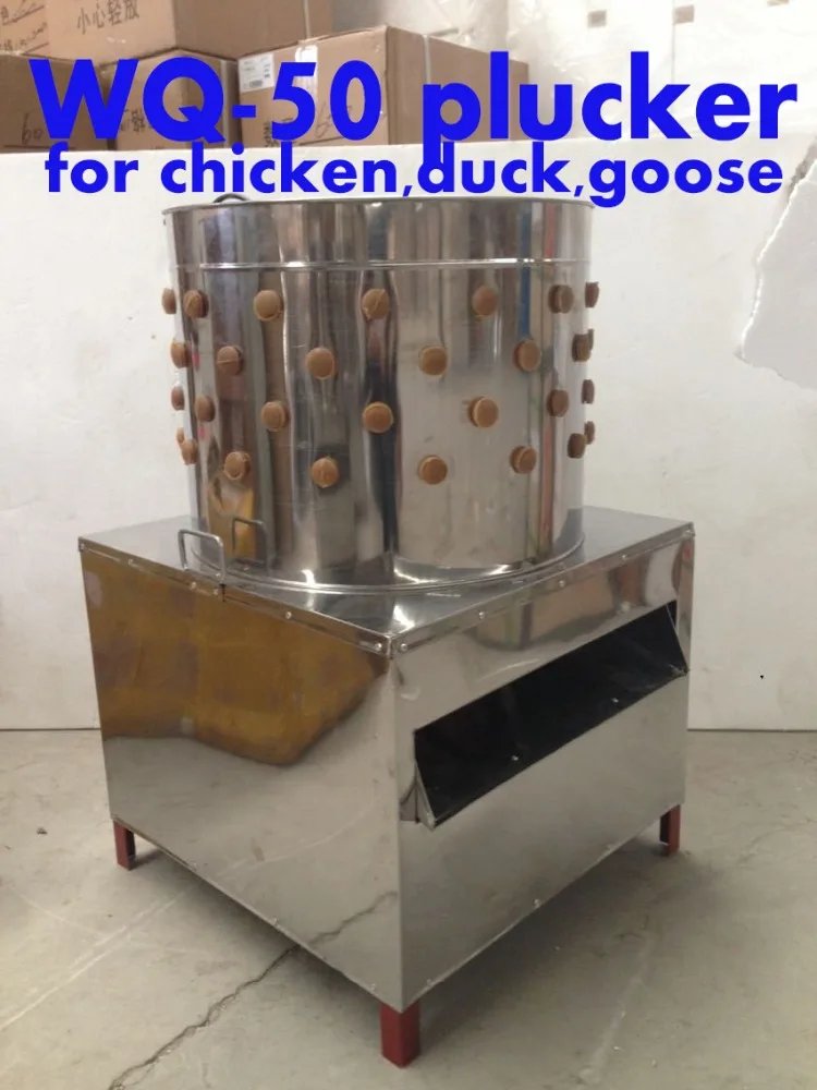 gà đá nướng muối ớt