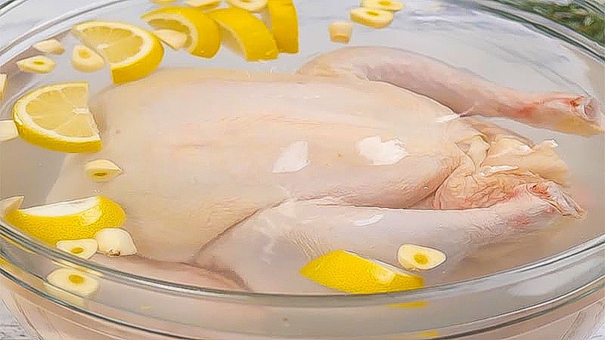 trang mạng đá gà trực tiếp trang mạng đá gà trực tiếp