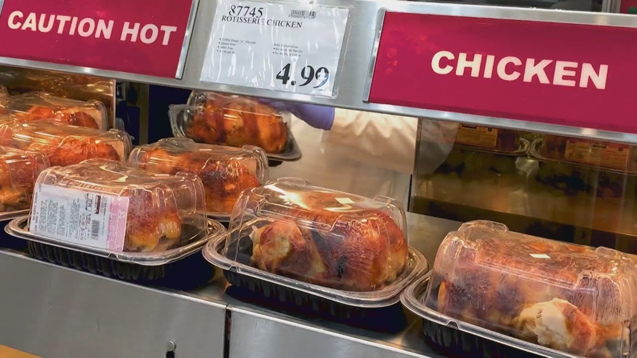 nuôi gà đá có lực nuôi gà đá có lực