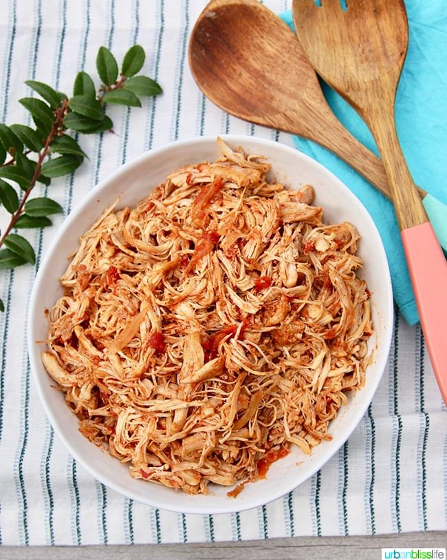 gà 1 hàng vảy đều đá như nào gà 1 hàng vảy đều đá như nào