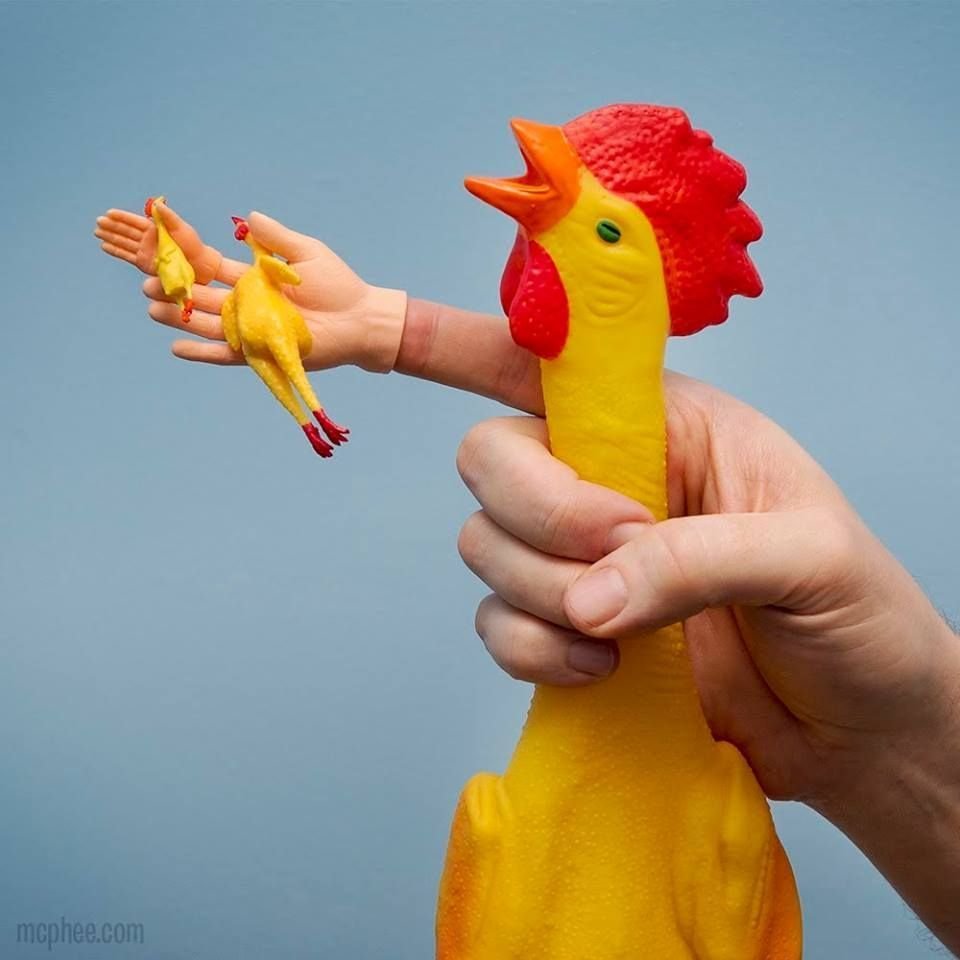 đá gà bị biến tướng đá gà bị biến tướng
