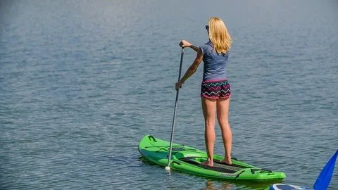 đá gà cựa sắt thomo 369 đá gà cựa sắt thomo 369