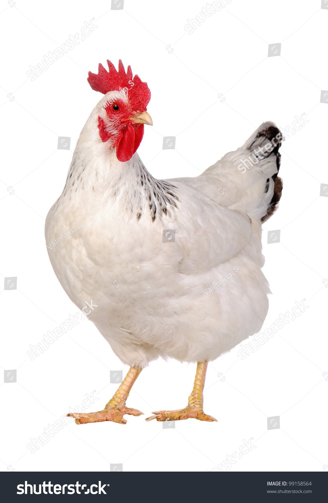 tranh đính đá con gà tranh đính đá con gà