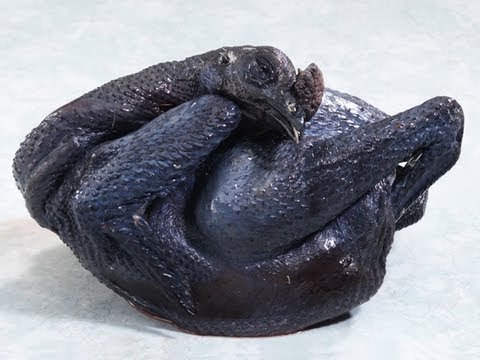 xem tướng gà đá xem tướng gà đá