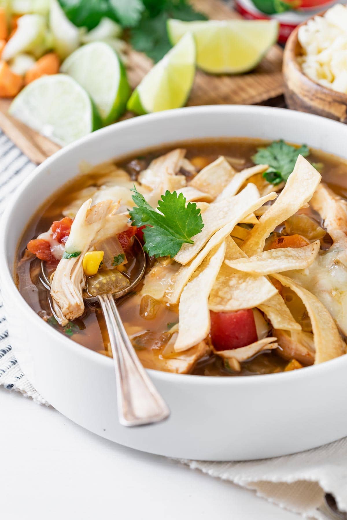 gà chọi đá cực độc gà chọi đá cực độc