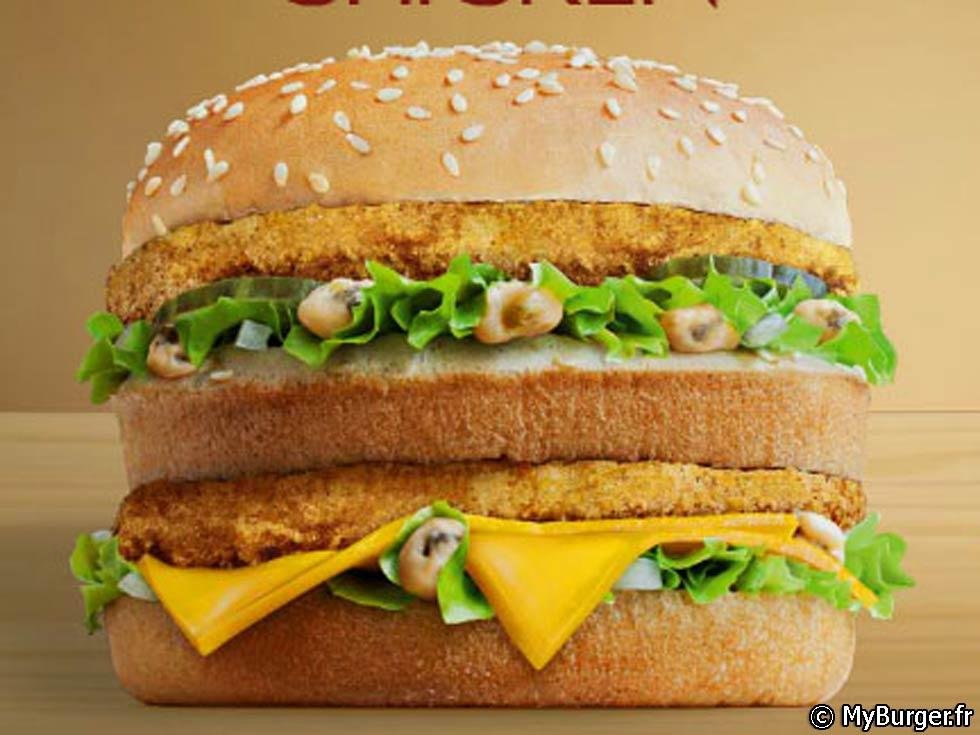 gà đá đòn bình định gà đá đòn bình định