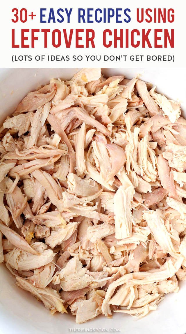 đá gà trực tuyến cựa dao