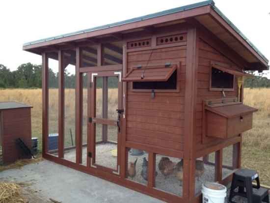 chợ tốt gà đá quận 8 chợ tốt gà đá quận 8